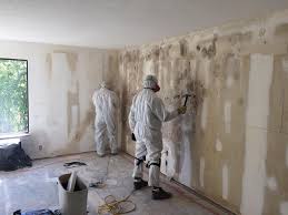 Why You Should Choose Our Mold Remediation Services in Worth, IL